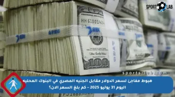 هبوط مفاجئ لسعر الدولار مقابل الجنيه المصري في البنوك المحلية اليوم 31 يوليو 2025 – كم بلغ السعر الآن؟